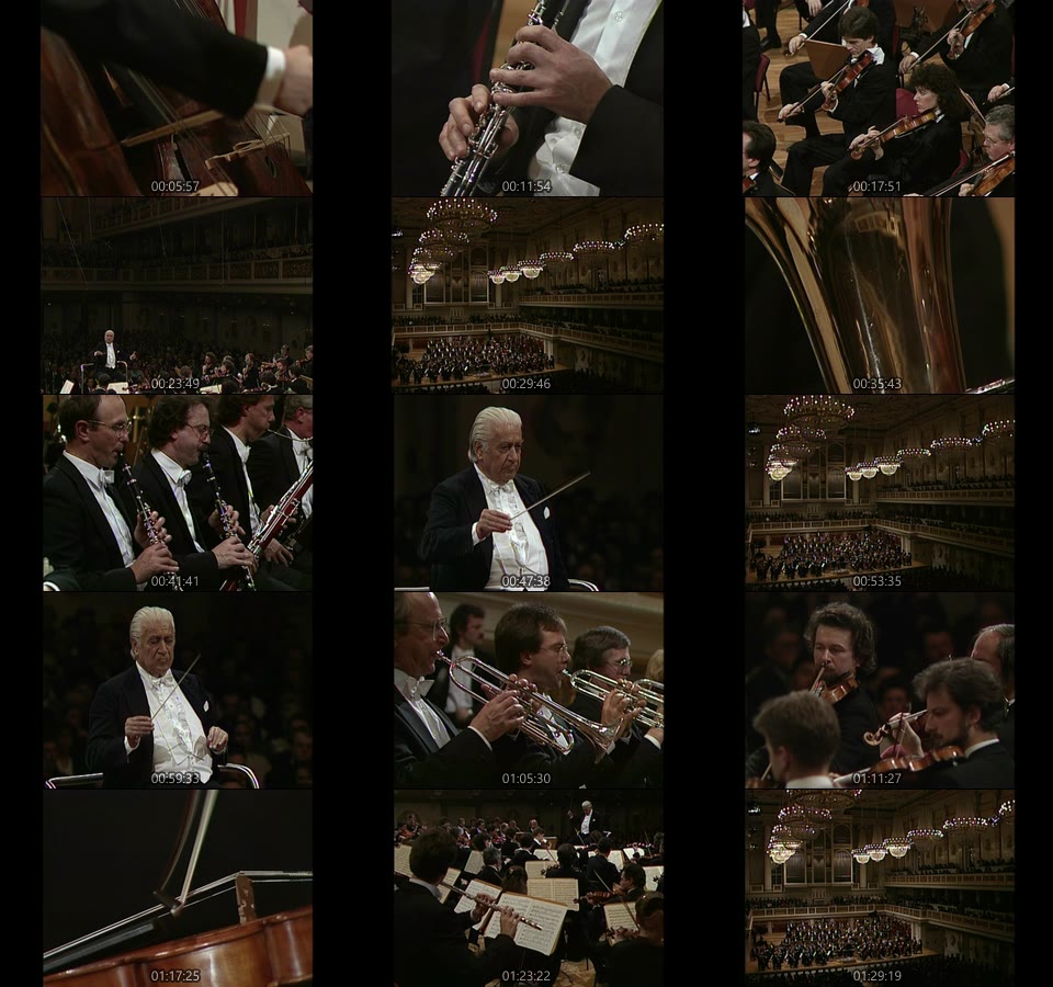 切利比达克布 鲁克纳第六七八交响曲 Celibidache Conducts Bruckner : Symphonys Nos. 6-8 (2021) 1080P蓝光原盘 [4BD BDMV 88.2G]Blu-ray、古典音乐会、蓝光演唱会8