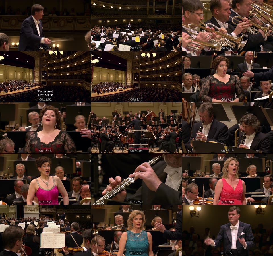 泰勒曼 理查德施特劳斯音乐会 Richard Strauss Gala (Christian Thielemann, Staatskapelle Dresden) (2015) 1080P蓝光原盘 [BDMV 22.2G]Blu-ray、古典音乐会、蓝光演唱会16