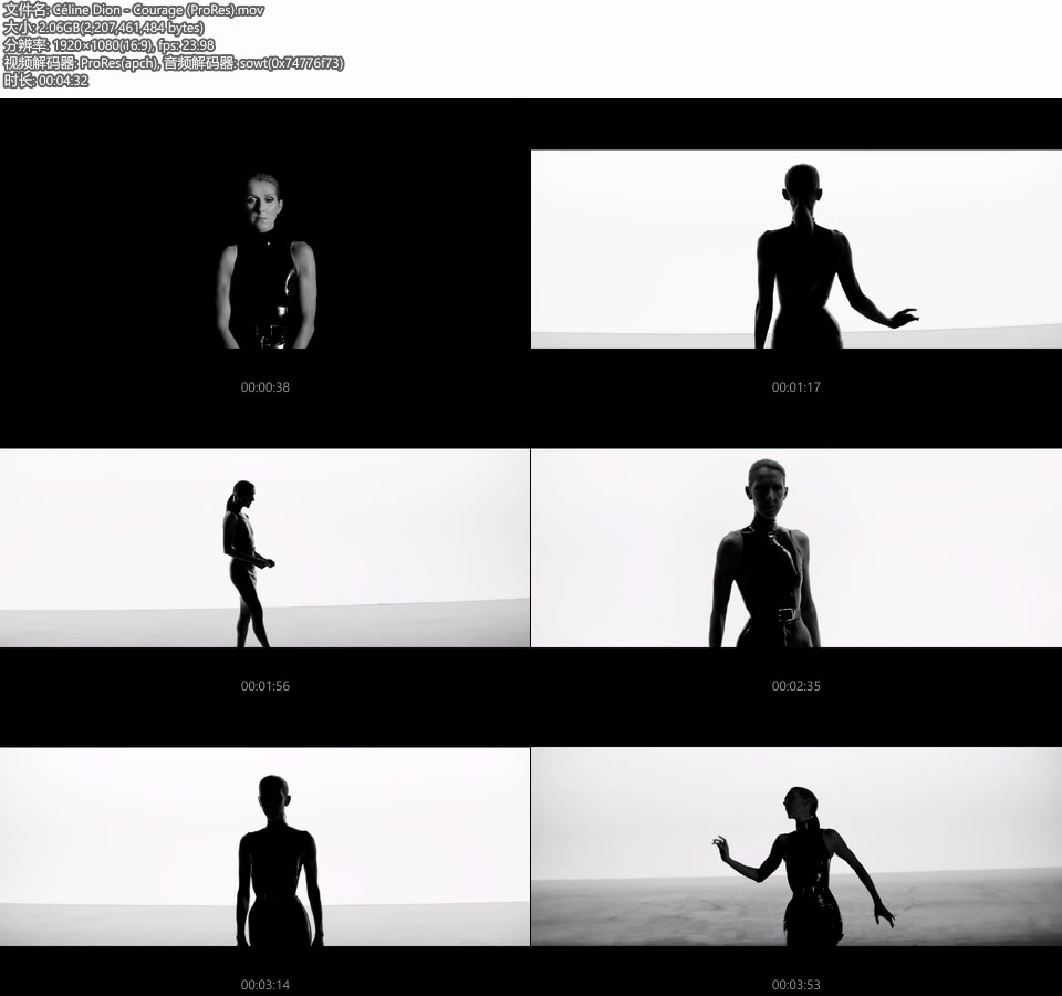 [PR] Céline Dion – Courage (官方MV) [ProRes] [1080P 2.06G]Master、ProRes、欧美MV、高清MV2