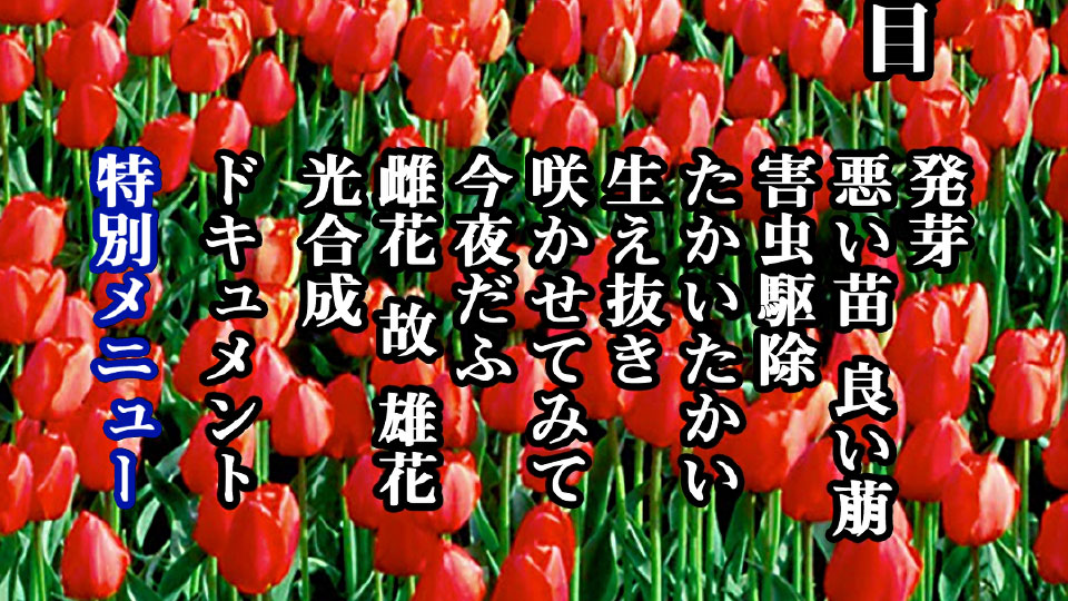 椎名林檎 – 発育ステータス 御起立ジャポン (2013) 1080P蓝光原盘 [BDISO 20.7G]Blu-ray、日本演唱会、蓝光演唱会12