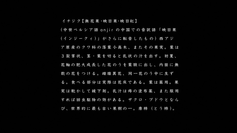 椎名林檎 – 賣笑エクスタシー (2013) 1080P蓝光原盘 [BD+CD BDISO 21.1G]Blu-ray、日本演唱会、蓝光演唱会4
