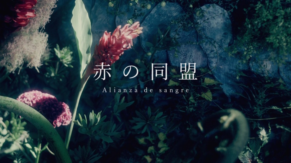 東京事変 – 総合 Prime Time [初回限定盤] (2021) 1080P蓝光原盘 [BDISO 40.6G]Blu-ray、日本演唱会、蓝光演唱会12