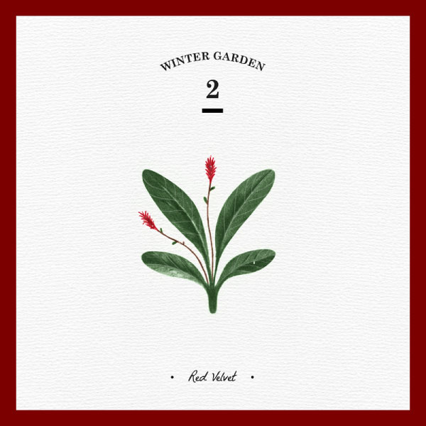 Red Velvet (레드벨벳) – Wish Tree (2015) [groovers] [FLAC 16bit／44kHz]CD、韩国流行、高解析音频