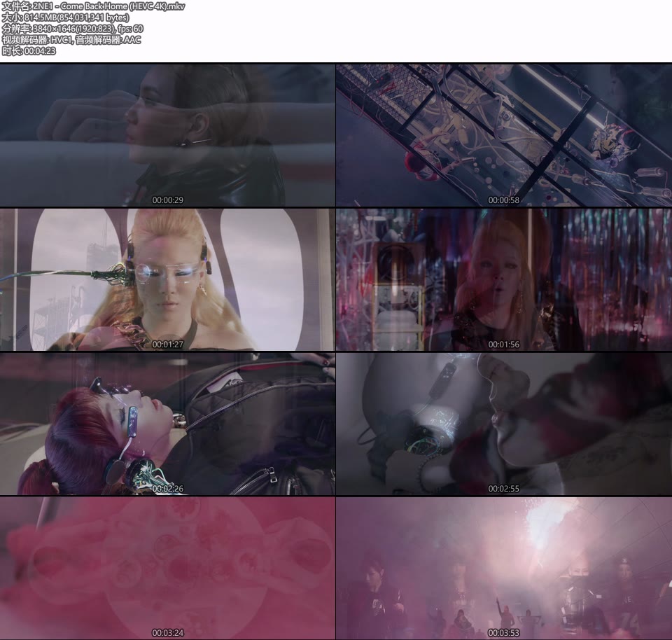 [4K] 2NE1 – Come Back Home (官方MV) [HEVC 2160P 814M]4K MV、Master、韩国MV、高清MV2
