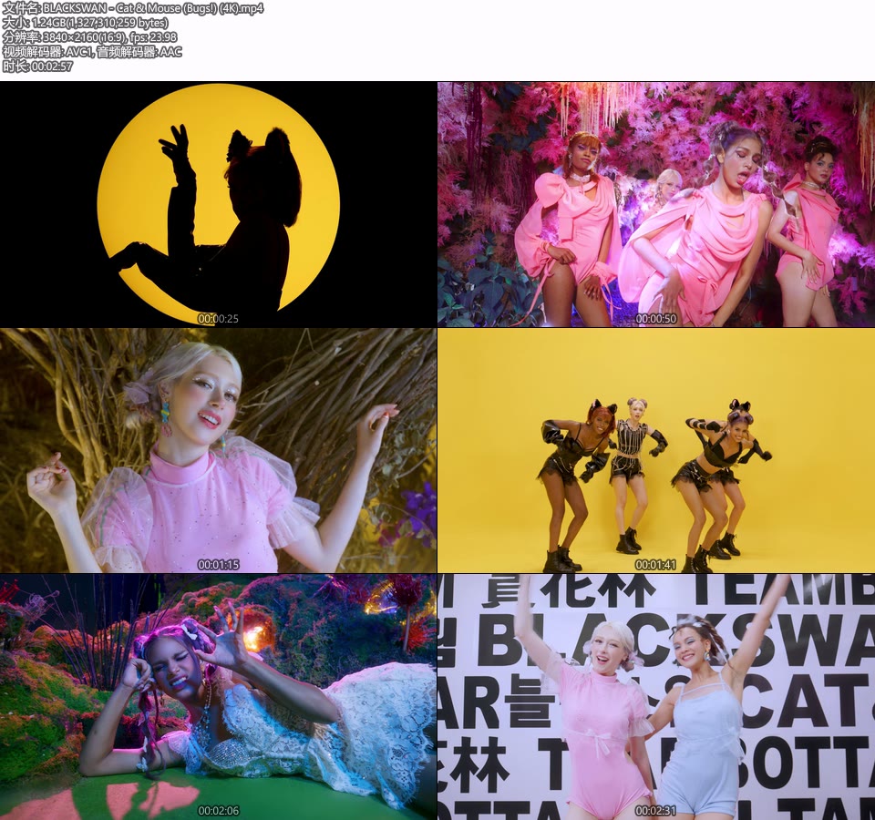 [4K] BLACKSWAN – Cat & Mouse (Bugs!) (官方MV) [2160P 1.24G]4K MV、Master、韩国MV、高清MV2