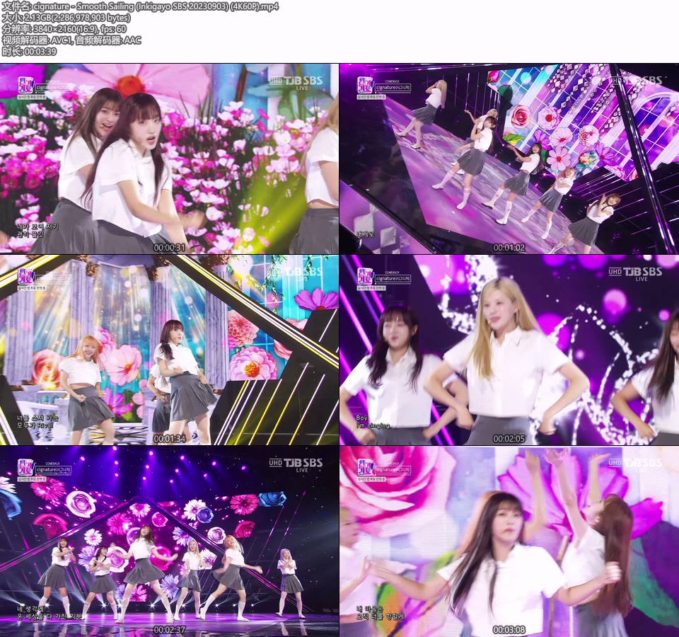 [4K60P] cignature – Smooth Sailing (Inkigayo SBS 20230903) [UHDTV 2160P 2.13G]4K LIVE、HDTV、韩国现场、音乐现场2