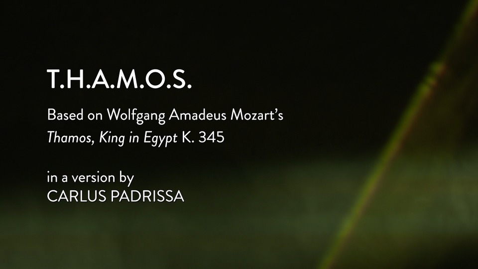 莫扎特THAMOS Wolfgang Amadeus Mozart T.H.A.M.O.S. (2022) 1080P蓝光原盘 [BDMV 21.8G]Blu-ray、Blu-ray、古典音乐会、歌剧与舞剧、蓝光演唱会2