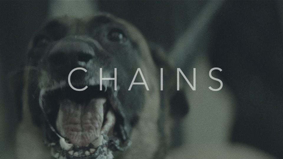 [PR] Nick Jonas – Chains (官方MV) [ProRes] [1080P 3.4G]