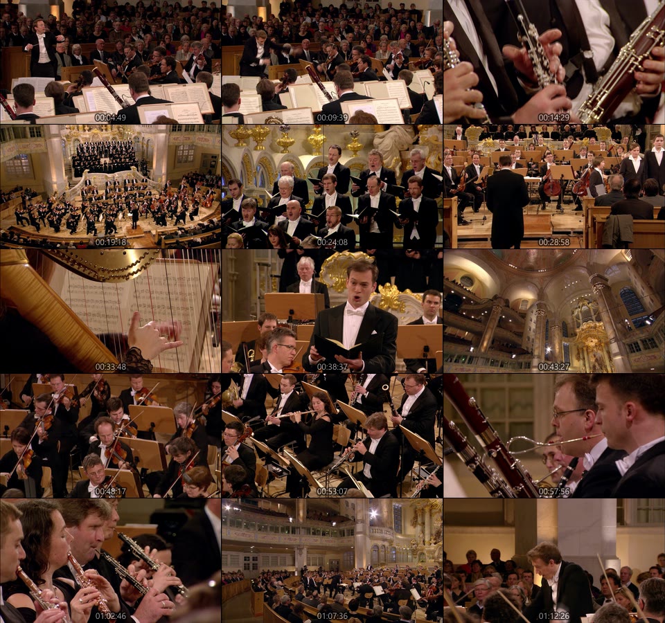 罗伯特舒曼致敬音乐会 Homage to Robert Schumann (Daniel Harding, Staatskapelle Dresden) (2010) 1080P蓝光原盘 [BDMV 17.6G]Blu-ray、古典音乐会、蓝光演唱会14