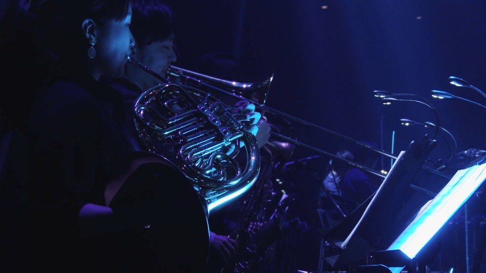 星野源– STRANGER IN BUDOKAN at 日本武道館(2014) 1080P蓝光原盘[2BD