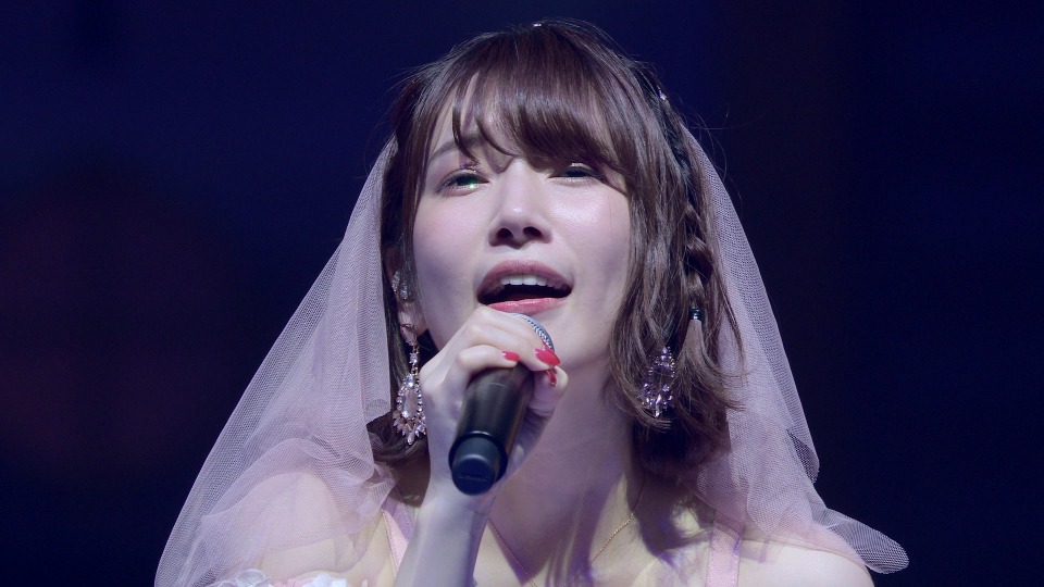 内田真礼 UCHIDA MAAYA New Year LIVE 2019 武道館 CD・BD・DVD購入特典 非売品 B2ポスター 全3種セット 内田真礼&frasl;UCHIDA MAAYA New Year LIVE 20a New Year LIVE 2019 | 内田真