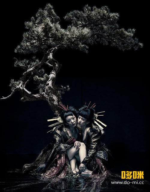 the GazettE – LIVE TOUR 12-13 (DIVISION) FINAL MELT LIVE AT 03.10