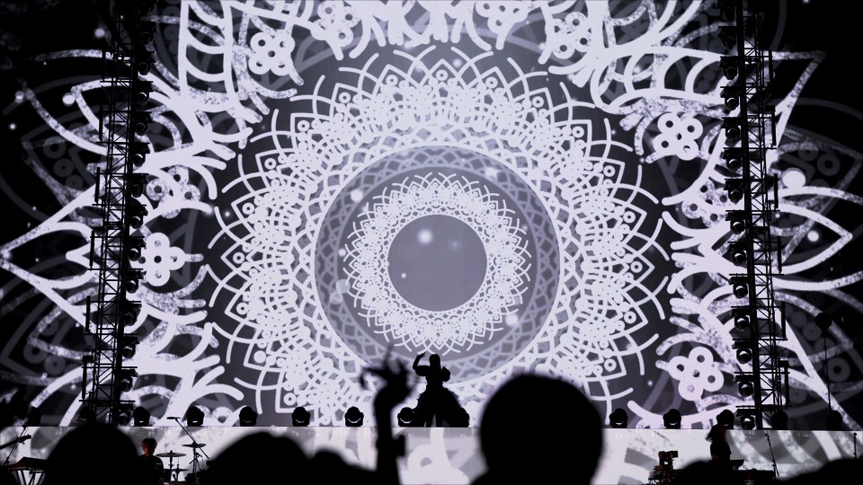 初回限定盤 Blu-ray Ado SPECIAL LIVE 2024 心臓 Ado SPECIAL LIVE 2024「心臓」LIVE Blu-ray & DVD - Ado