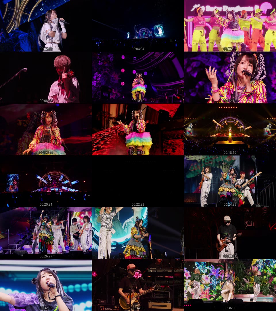Nana Mizuki LIVEcd付 JUNGLE x PARADE Nana Mizuki Shares Performance Clips from New Live Concert