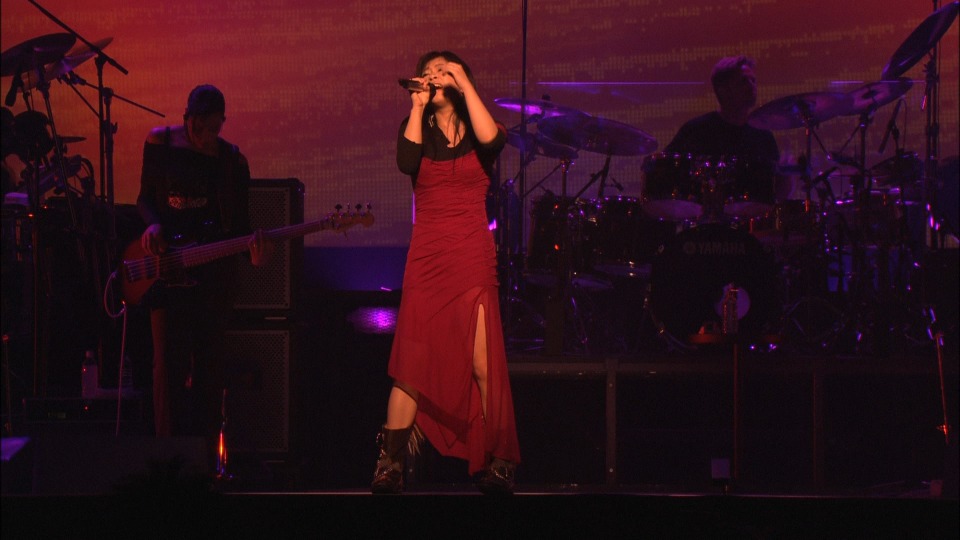 宇多田ヒカル – HIKARU UTADA LIVE CHRONICLES In Budokan 2004 ヒカルの5 (2025) 1080P蓝光原盘 [BDISO 38.5G]Blu-ray、日本演唱会、蓝光演唱会6