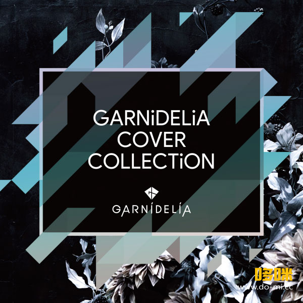 Blu-ray GARNIDERIA stella ship 豪華版 GARNiDELiA – GARNiDELiA stellacage 2022 stella ship TOKYO Live