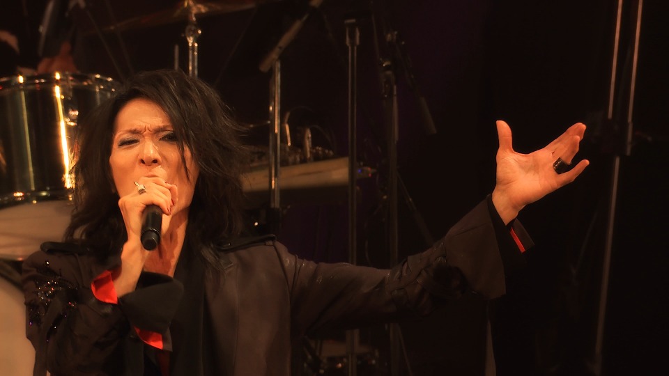 MORRIE – MORRIE 60th Birthday Celebration FLESH FATE FESTIVAL