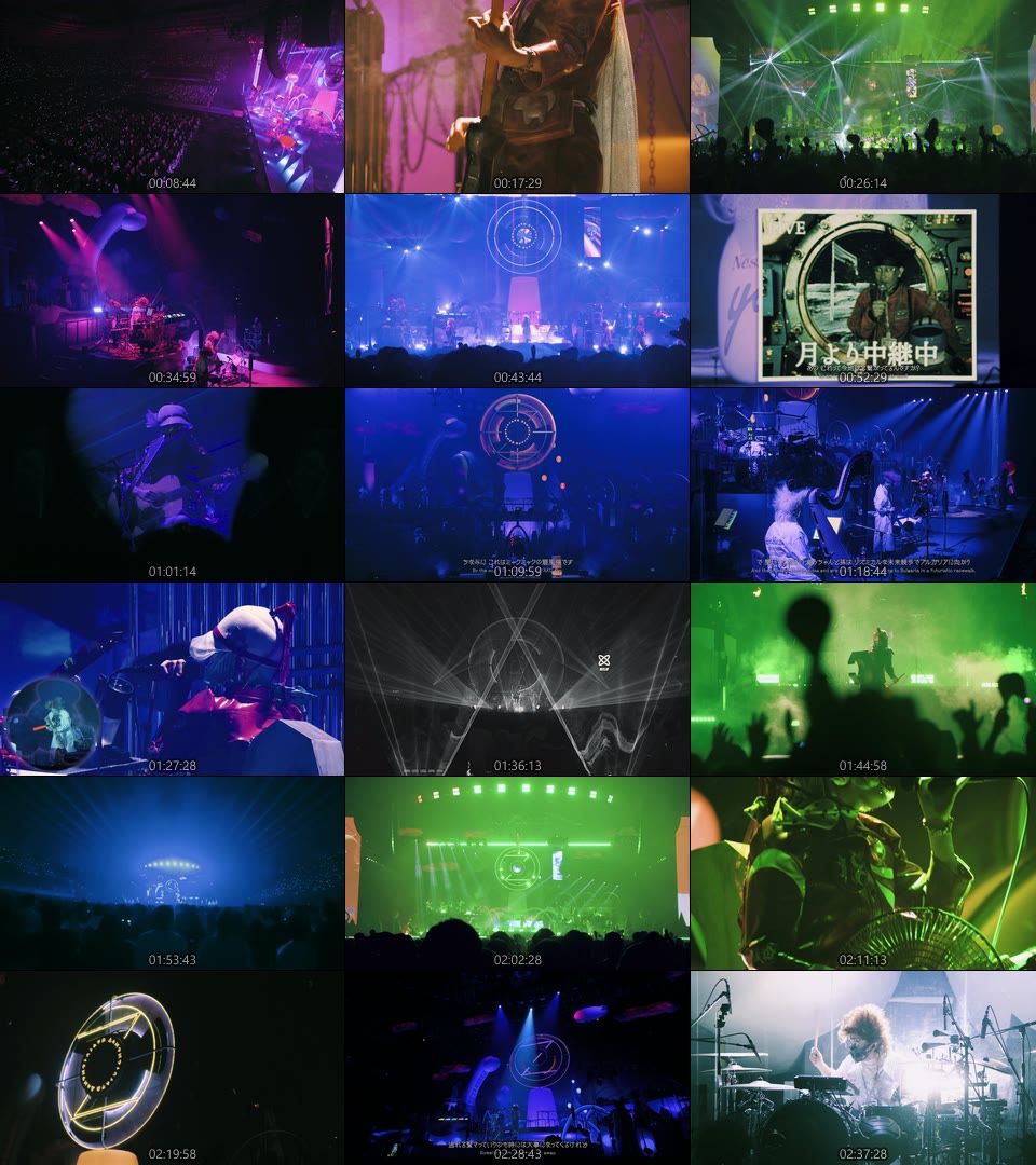 ずっと真夜中でいいのに。永遠深夜万博「名巧は愚なるが如し」(2025