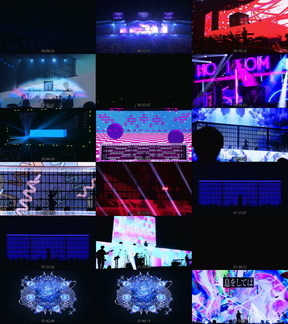 Ado – Ado JAPAN TOUR 2024「モナ・リザの横顔」[初回限定盤] (2025